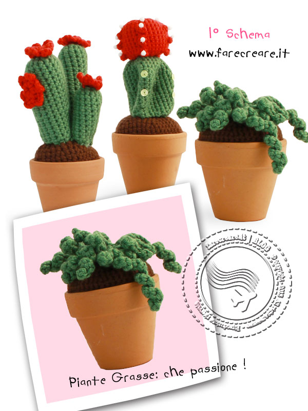 Piantine grasse cactus piccole per bomboniere onLine