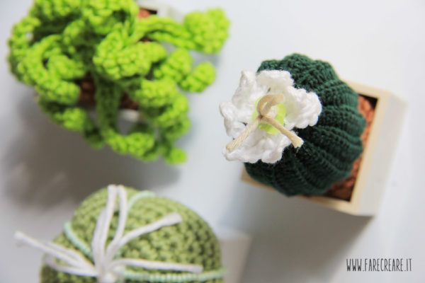 Schema pianta grassa crochet gratis - 4