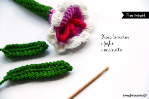 fiore-pianta-grassa-free-tutorial